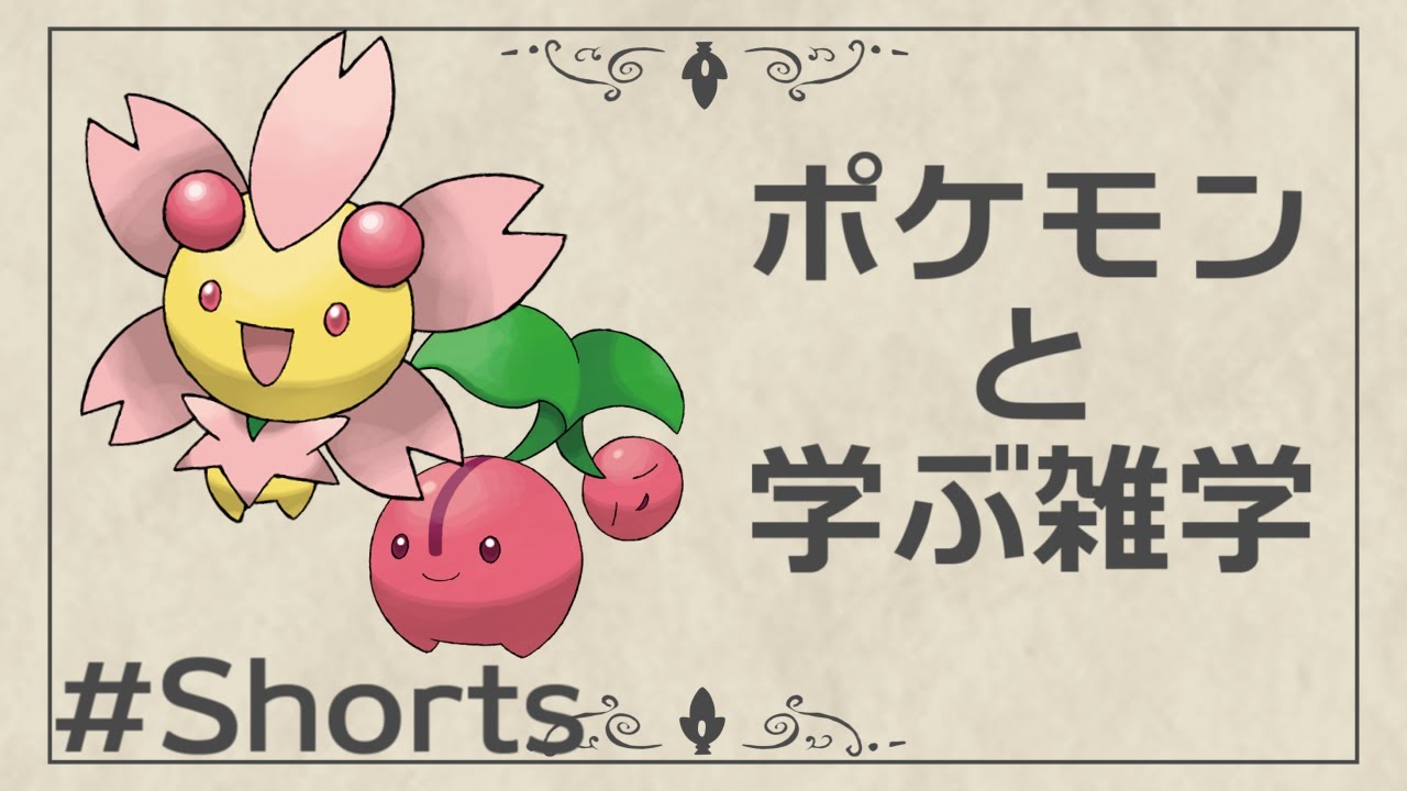 【チェリム】ソメイヨシノはさくらんぼを作らない？【ポケモンと学ぶ雑学】【#Shorts】