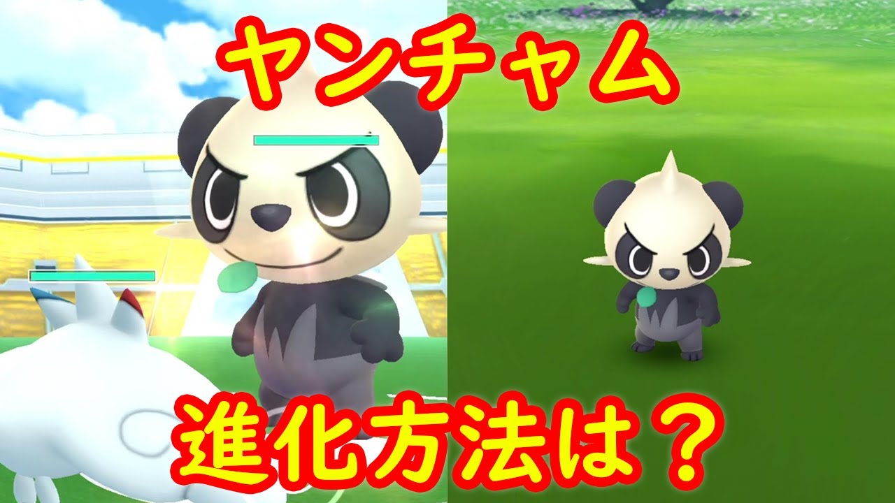 【ヤンチャム】今日から出現しています 進化方法は？ 原作準拠だがめんどくさそうです【ポケモンGO】