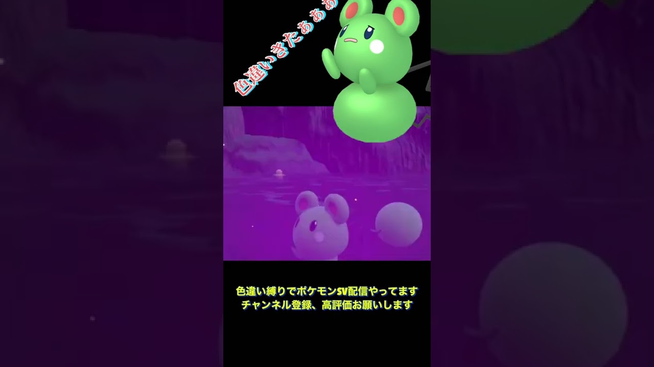 【ポケモンSV】色違いルリリきたぁぁぁぁ！！ #shorts  #short  #ポケモンsv  #色違い縛り