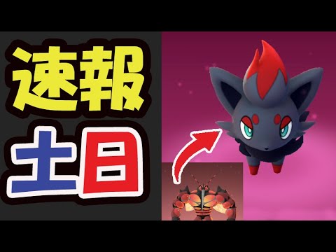 【速報】今からゾロア実装開始！条件は〇〇に変身【速報＆土日まとめ】