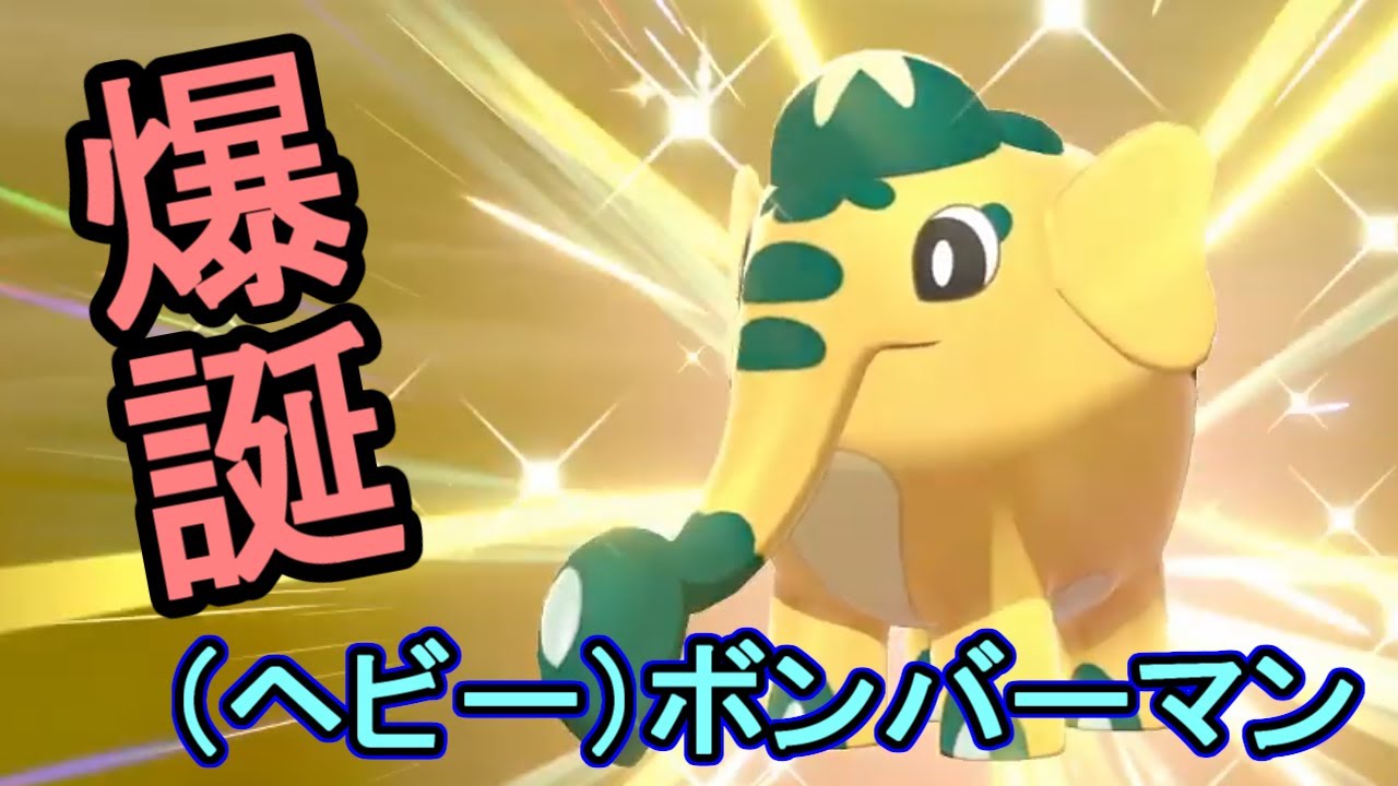 【ポケモン剣盾】色違いのゾウドウGETシーン切り抜き