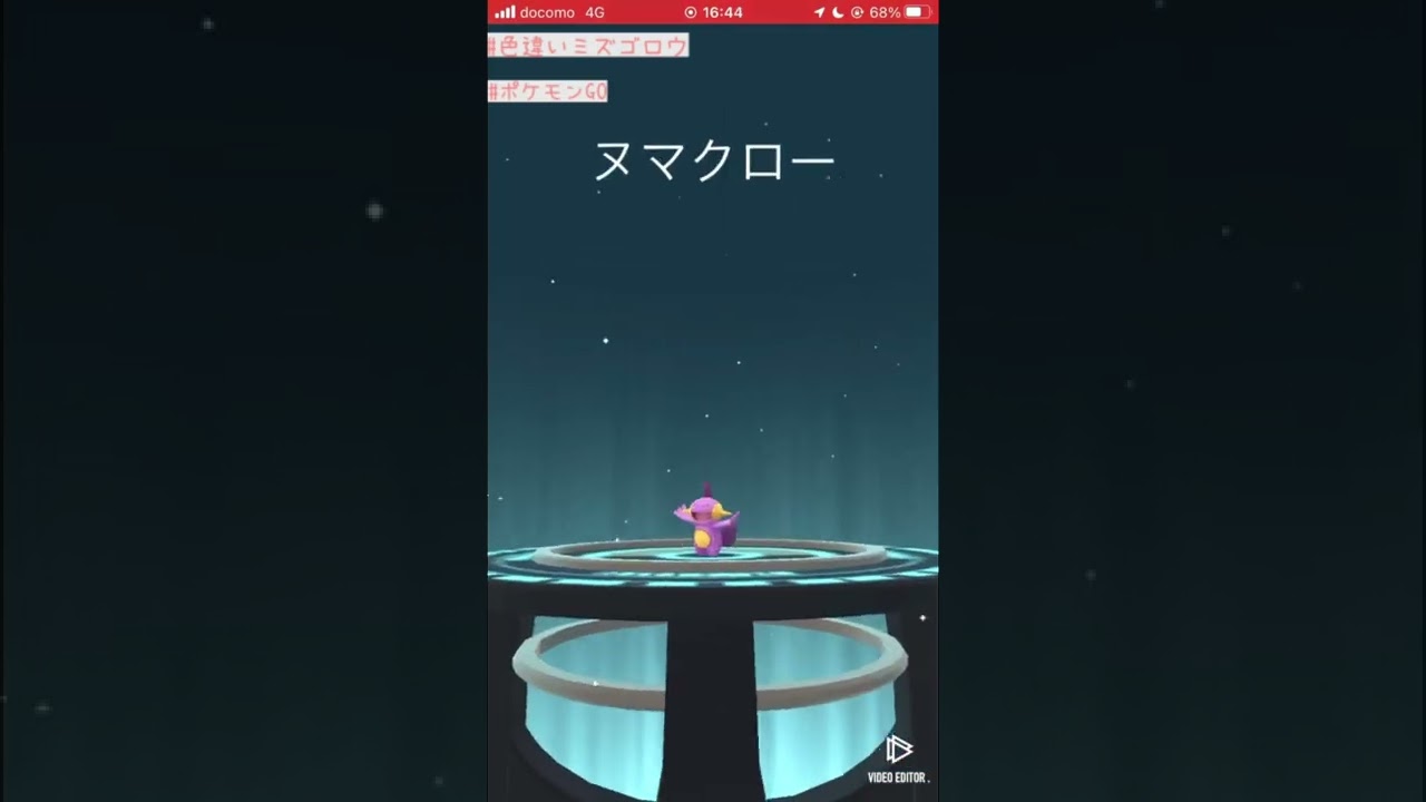 ピンカン島に行ったことある色違いミズゴロウ