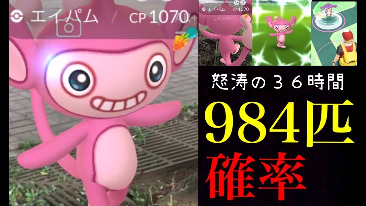 【ポケモンGO】奇跡！諦めかけてた時に色違いエイパムが９８４匹目で登場！過去最高のポケ活チャレンジ。【Pokémon GO】