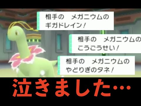 害悪メガニウムに捕まって発狂！！！　　【ポケモンダイパリメイク】