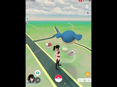 【ポケモンGO】野生のホエルコに遭遇！