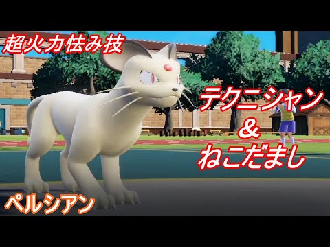 【ポケモンSV】テラスタルでとんでも火力のねこだまし＆とんぼがえりループの「ペルシアン」