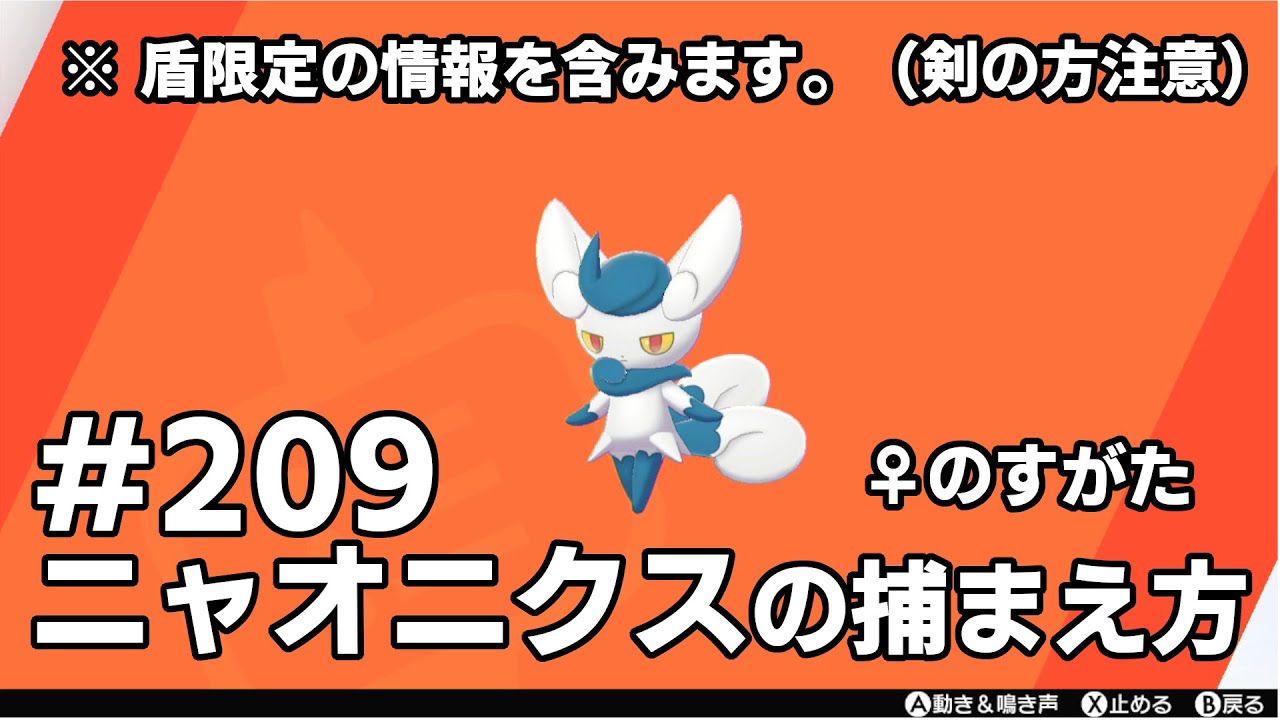 ニャオニクス（♀のすがた）を探している方に見てほしい動画