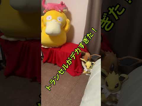 うちのトランセルデカすぎん？#shorts