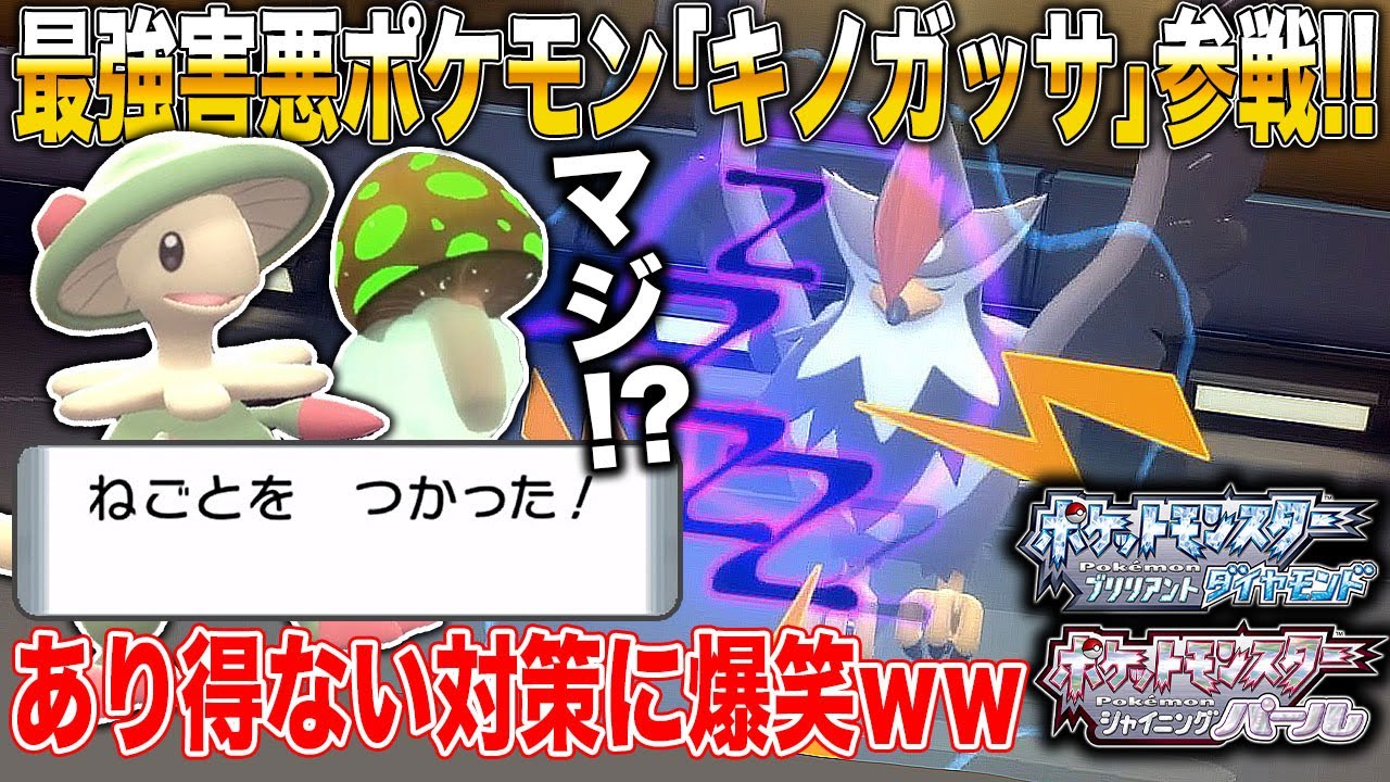 【ポケモンBDSP】最強害悪ポケモン｢キノガッサ｣を使ったら想像を絶する方法で対策されて大爆笑ｗｗ【ダイパリメイク】