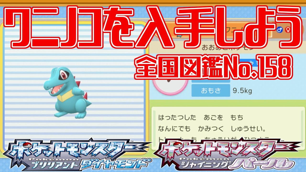 【ポケモンダイパリメイク】ワニノコを入手しよう 全国図鑑No.158【ポケットモンスター ブリリアントダイヤモンド・シャイニングパール】Pocket Monsters