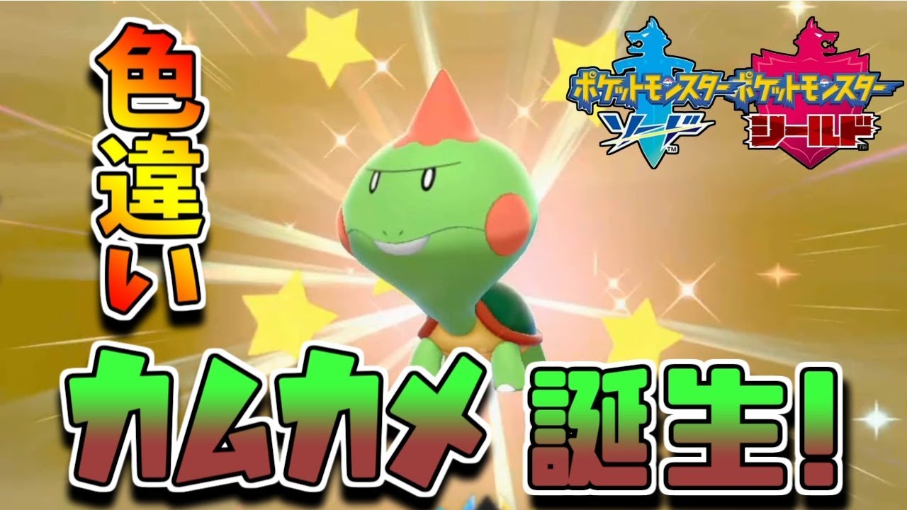 色違いカムカメに気持ち悪いと言ってしまったポケモン初心者。【ポケモン剣盾】🦖