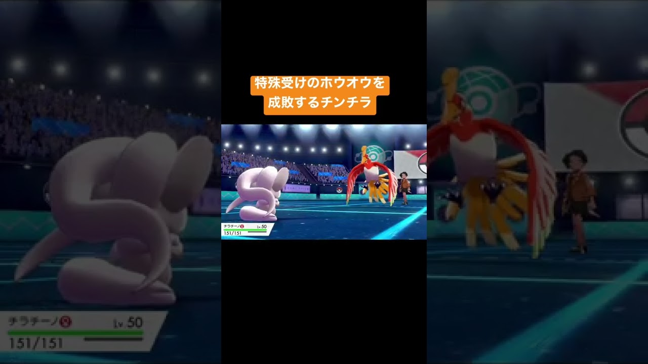 【ポケモン剣盾】チラチーノの無限の可能性 【ポケモン】