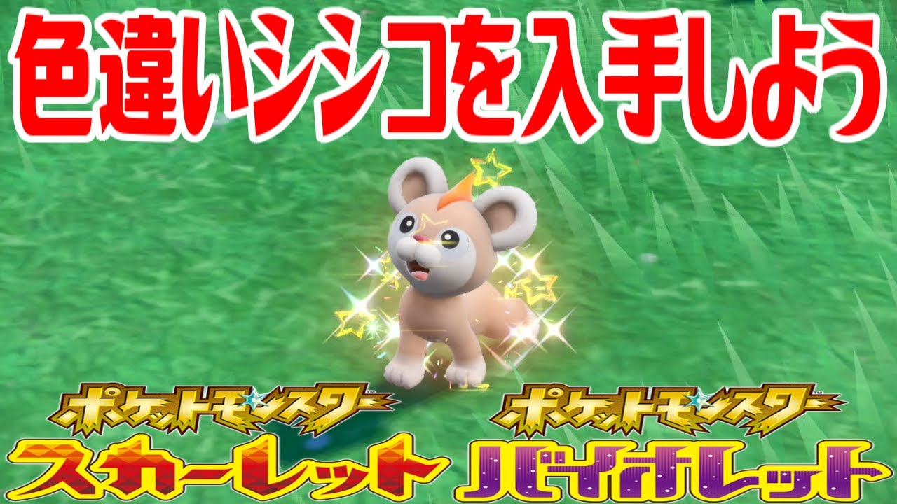 【ポケモンSV】色違いシシコを入手しよう【ポケットモンスター スカーレット・バイオレット】Pocket Monsters