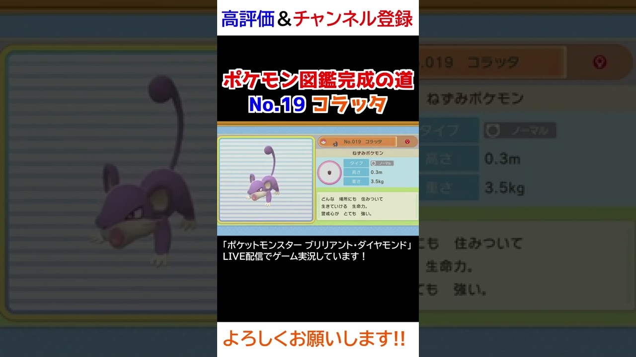 No.19 コラッタ図鑑登録完了！【ポケモンBDSP】