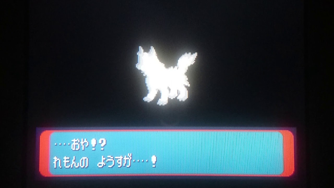 【ポケモンサファイア色違い縛り】ポチエナ進化