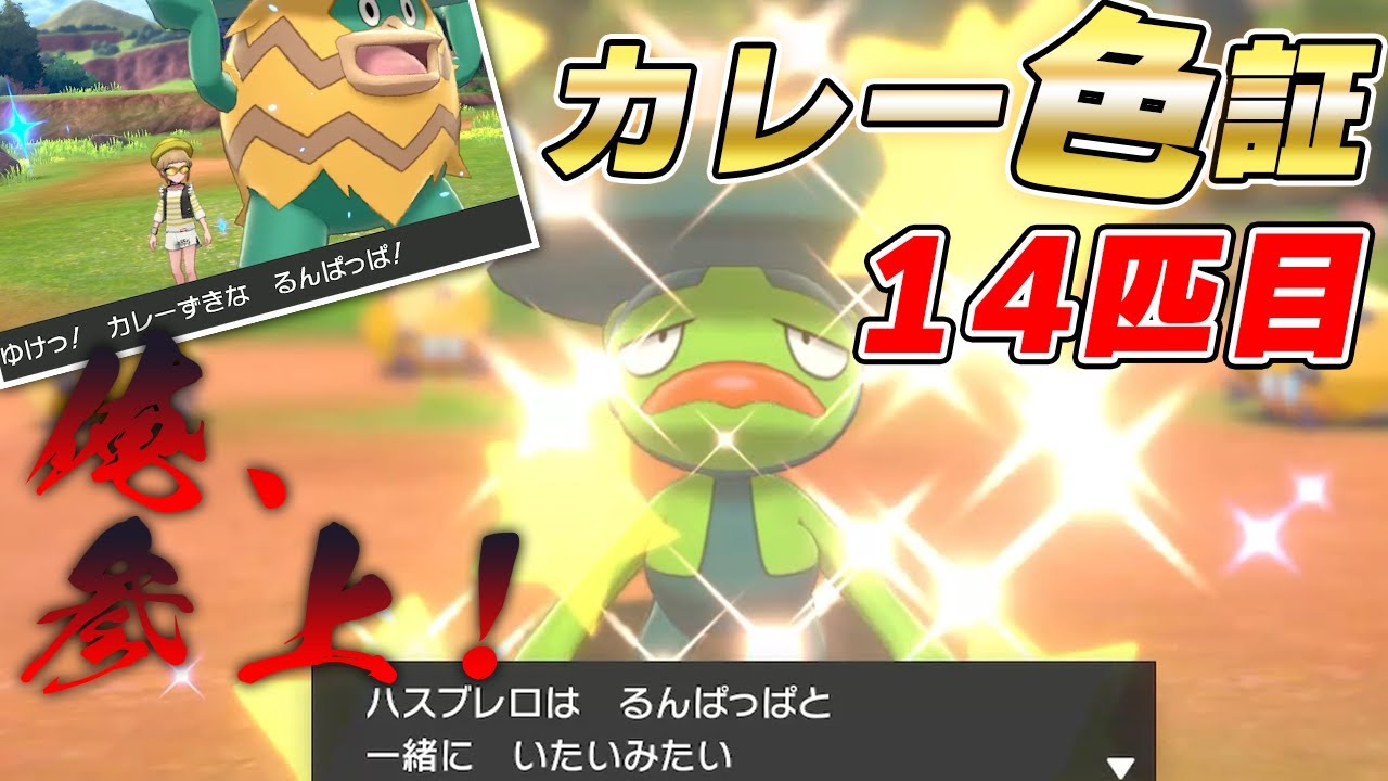 【俺、参上】カレー色証ハスブレロ爆誕【ポケモン剣盾】