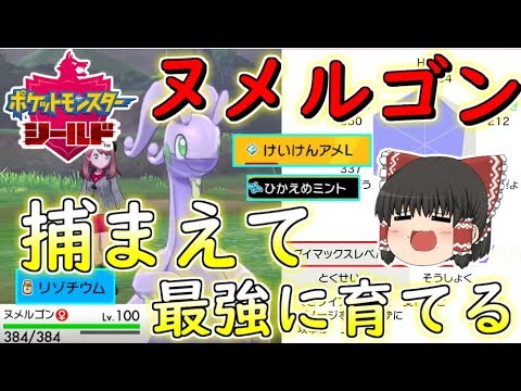 【ポケモン剣盾】ヌメルゴンさんを捕まえて新育成法で最強に育て上げる！【ゆっくり実況】
