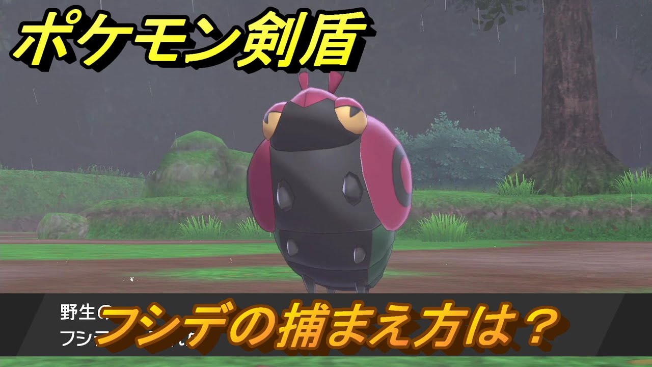 ポケモン剣盾　フシデを捕まえる方法！オススメの場所は？天気は？ポケモン図鑑コンプへの道！　最新版【ポケモンソード・シールド】