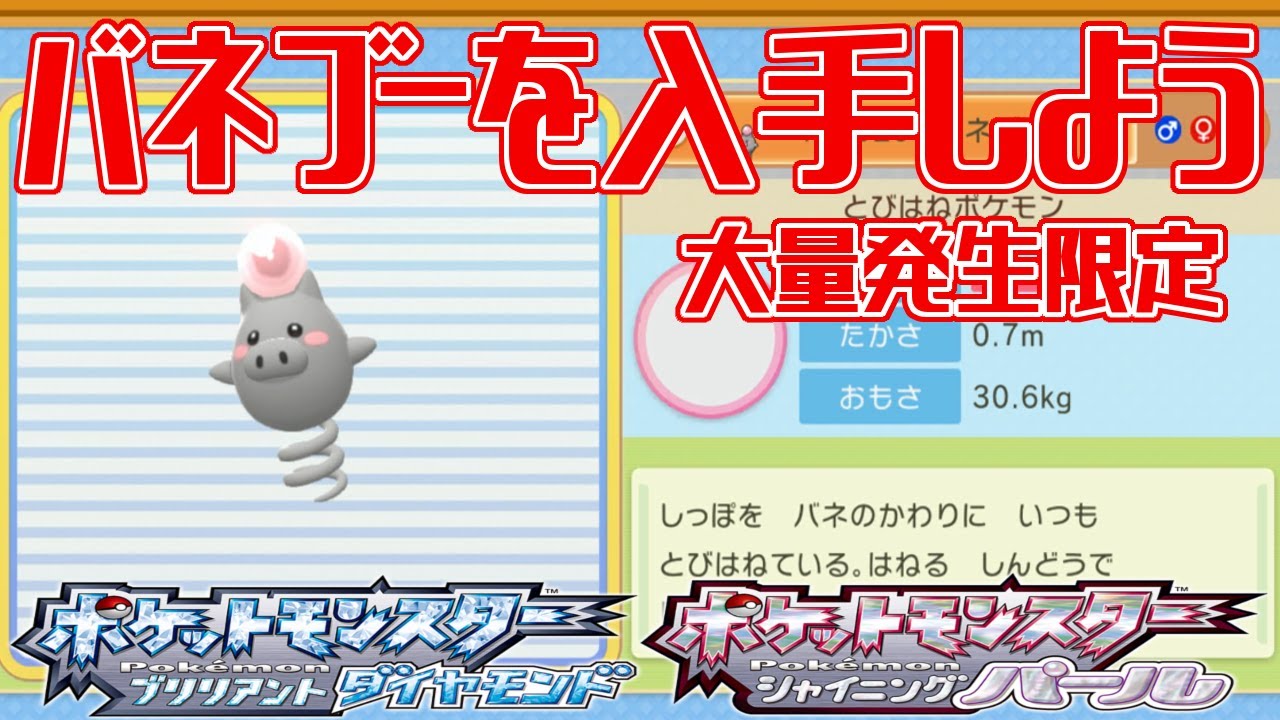 【ポケモンダイパリメイク】バネブーを入手しよう 大量発生限定 214番道路【ポケットモンスター ブリリアントダイヤモンド・シャイニングパール】Pocket Monsters