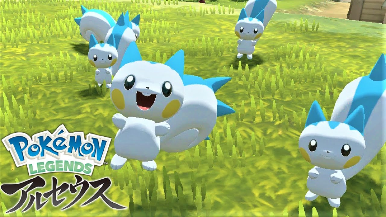かわいいパチリス６匹とお散歩します【ポケモンレジェンズアルセウス】