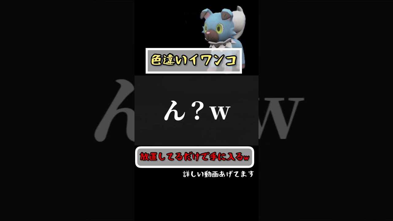 放置しているだけで色違いのイワンコがどんどん出てくるw 【#ポケモンsv 】