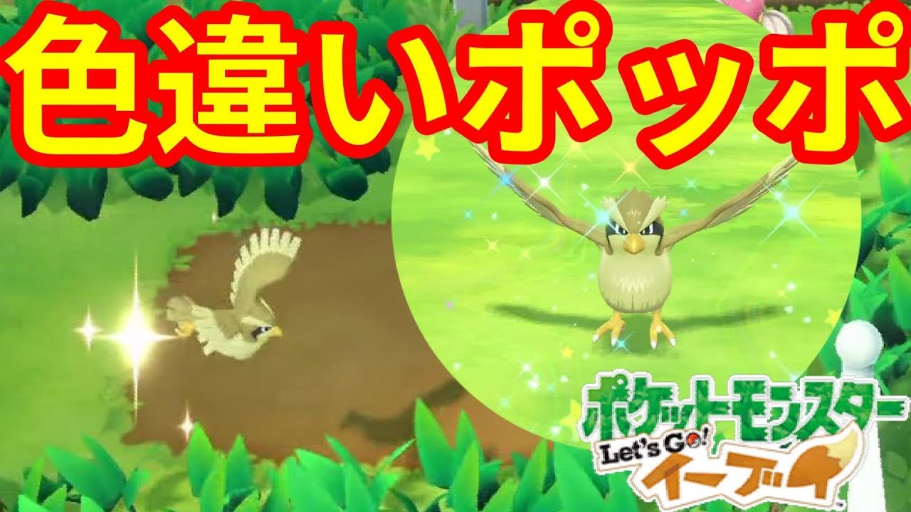 色違いキター！ポッポは何色！？【ポケモンLet'sGO！イーブイ】