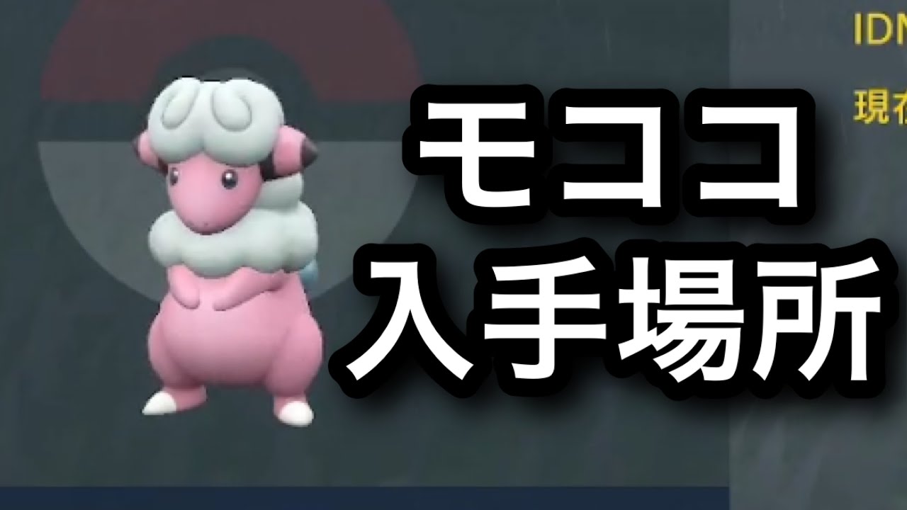 【SV】モココ入手場所