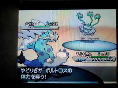 ポケモンBW2 ナットレイに敗北 Pokemon