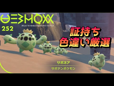 証持ち色違いサボネア厳選！！初見さん歓迎です！！【ポケモンSV】【色証】