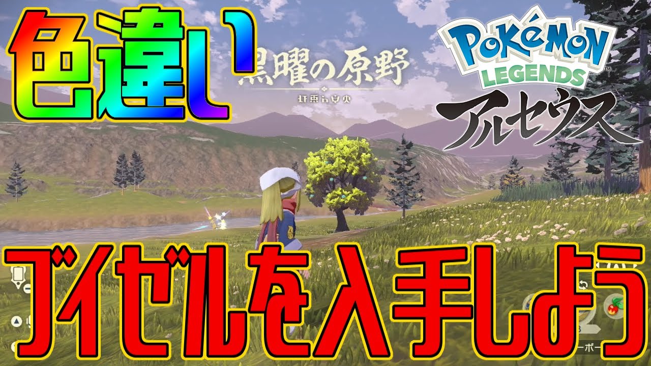 【ポケモンアルセウス】色違いブイゼルを入手しよう【Pokémon LEGENDS アルセウス】