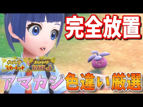 かわいくて強い！アマカジを完全放置、なんなら寝ながら厳選できちゃう？方法をご紹介！ついでにカジッチュも！【ポケモンSV】
