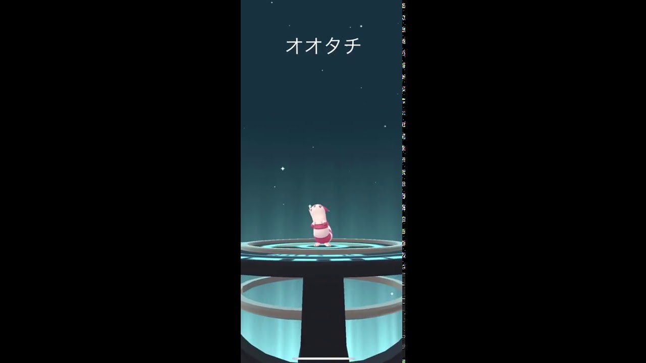 【ポケモンGO】オタチ→オオタチ 進化‼️ 色違いバージョン
