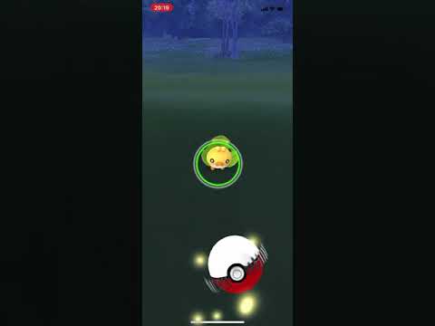 ポケモンgo 新実装のクルミルゲットチャレンジ