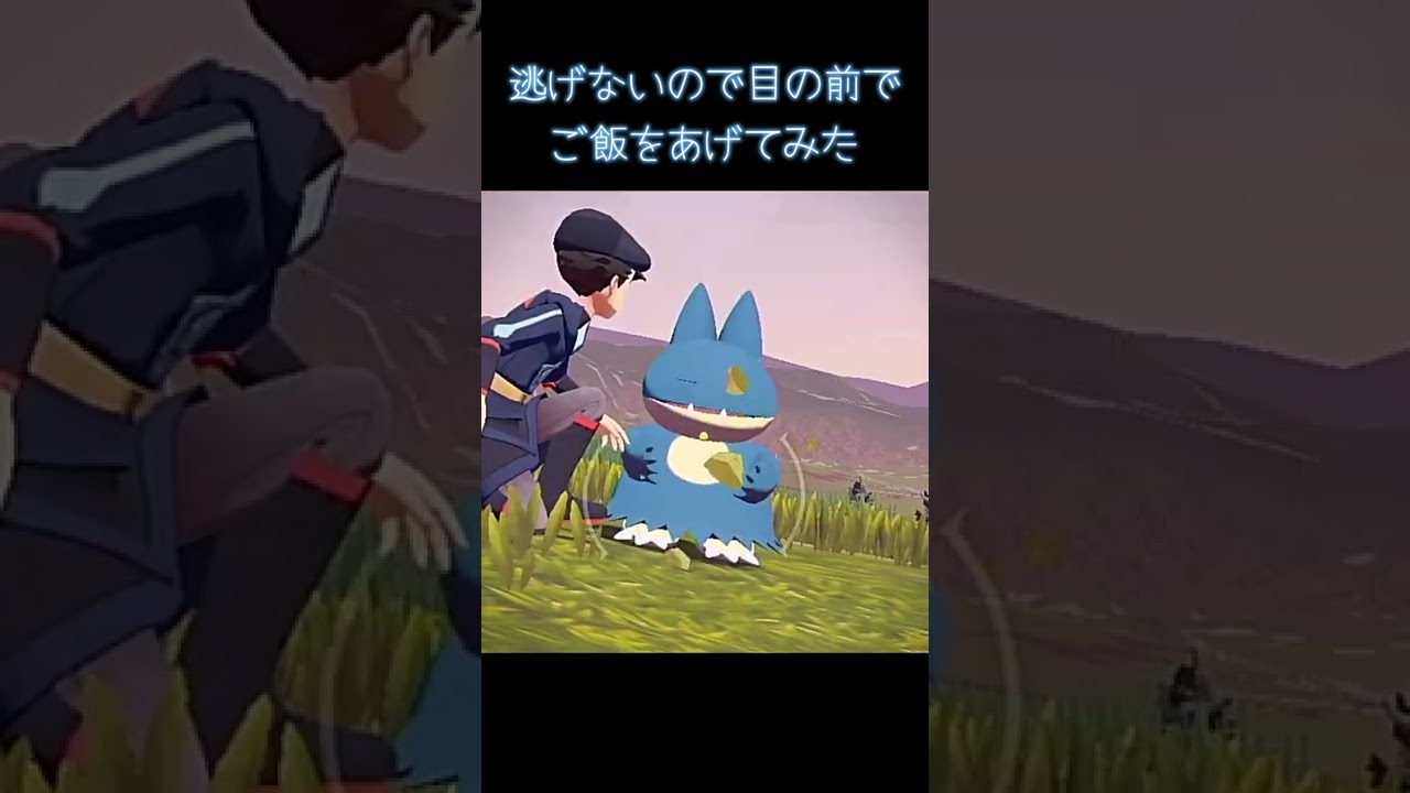 最初から最後ま全部かわいい！【ポケモンレジェンズアルセウス】