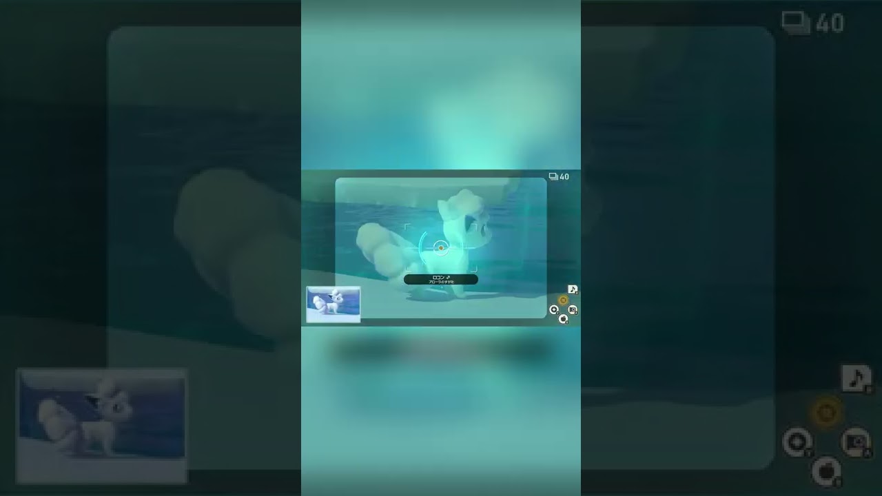 【Newポケモンスナップ NEW POKÉMON SNAP】おすましアローラロコン #shorts