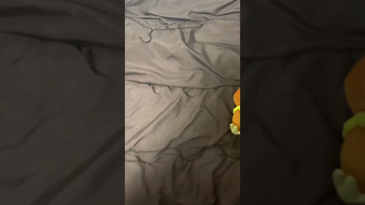 アチャモを寝かしつけてみた
