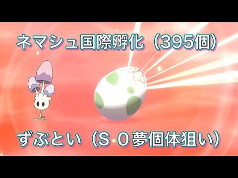 【ポケモン剣盾】国際孵化（色ネマシュ粘り）