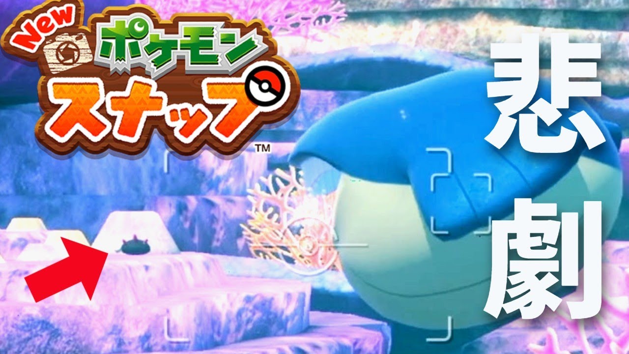 ホエルコに狙われたナマコブシ。彼の勇敢な姿に涙がとまらない…【NEWポケモンスナップ】#4