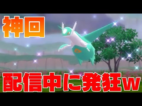 【神回】色違いラティオスに遭遇して発狂する配信者ｗｗｗ【ポケモンBDSP】
