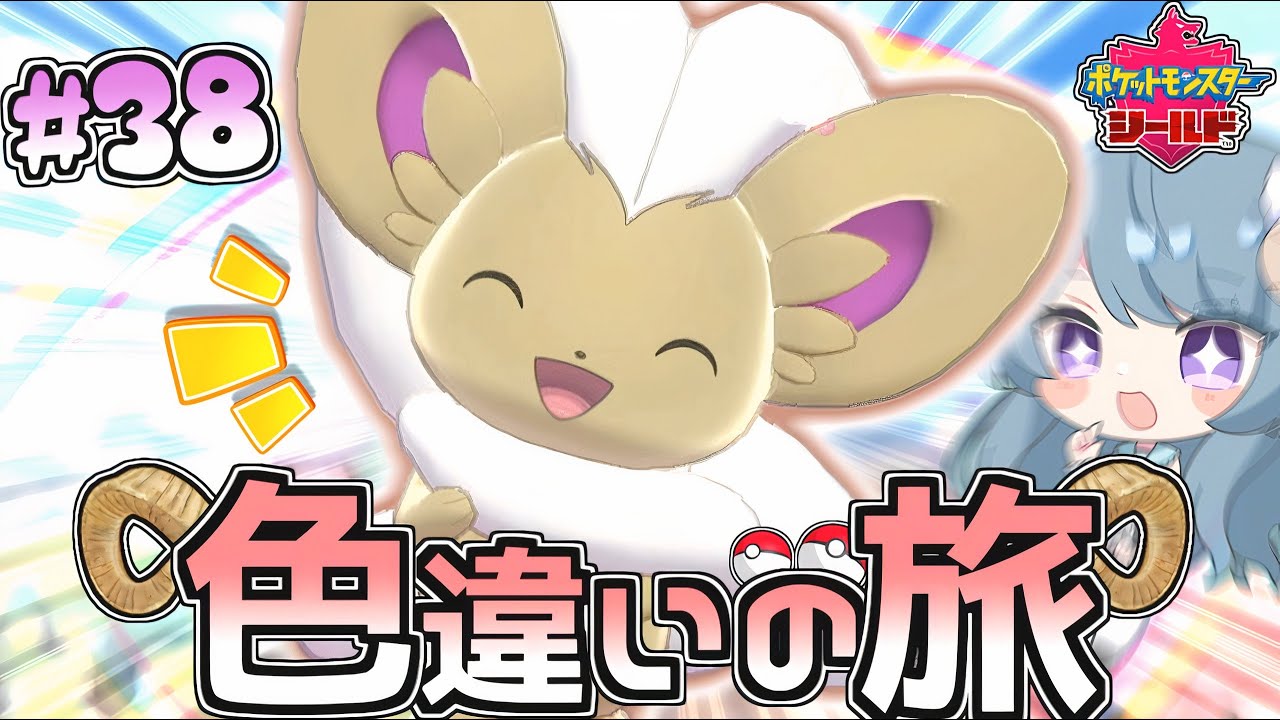 【ガラル色旅#38】色違いチラチーノをアイドル枠にするんじゃあ♡【ポケモン剣盾】【ゆっくり実況】