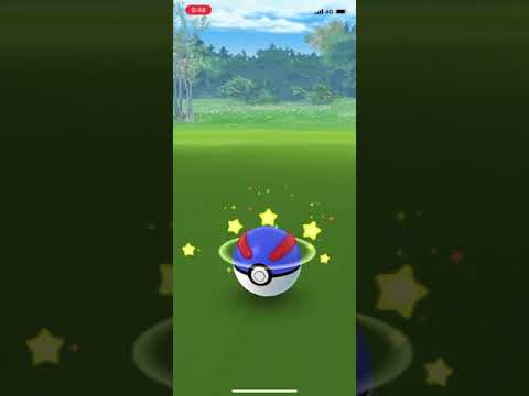 ヤジロンは、草w