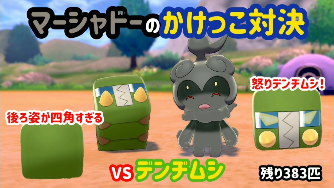 VSデンヂムシ ガラル図鑑No.17 【マーシャドーのかけっこ対決】