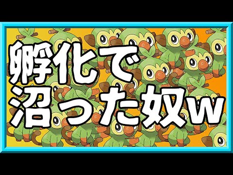 【ポケモン剣盾の闇】『色違い』夢サルノリ狙ってたら2週間以上沼にハマった奴w　御三家出にくくない？【国際孵化/ゴリランダー】