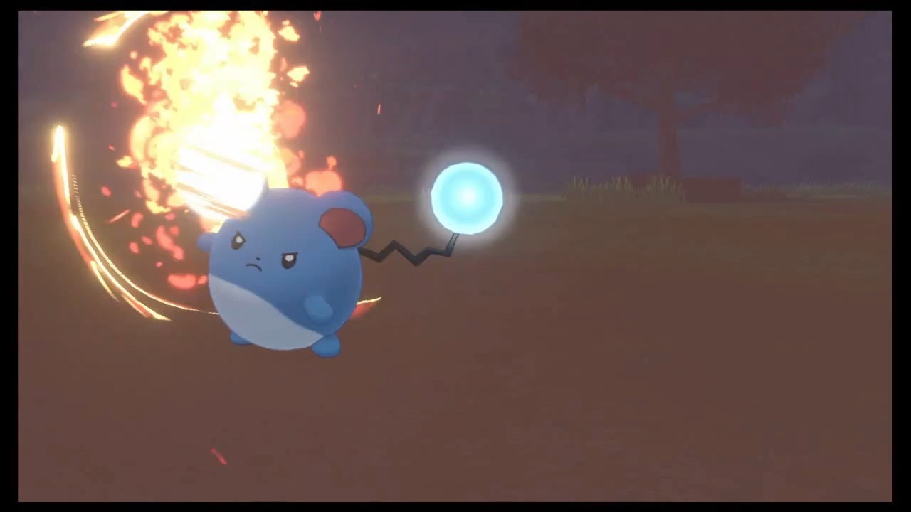 [ポケモン剣盾]マリルのかえんボール