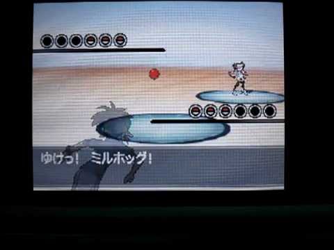 ポケモンだらだらランダムマッチ23【ミルホッグを侮るなかれ】