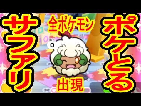 ポケとるサファリ【ウィンクエルフーン&ハハコモリ】レアポケモンを捕獲するぜ！　ポケとる実況