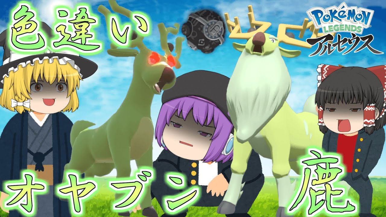 【レジェンズアルセウス】ひかるおまもり入手したからオヤブンオドシシの色違いゲットして色違いのオヤブンアヤシシ様にしたい！【ゆっくり実況】