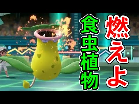 剣舞ウツボットは「やけど」しても無双できるってマジ！？【ポケットモンスターLet's GOピカチュウ イーブイ】