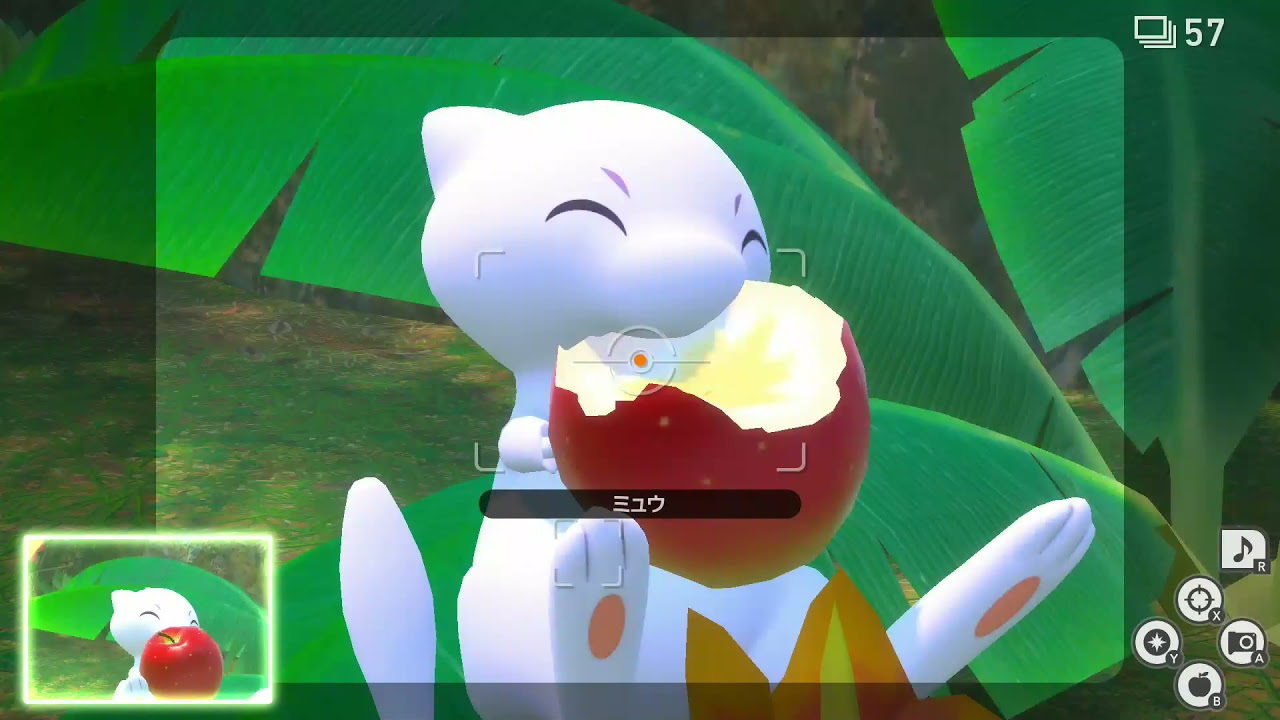 【ポケモンスナップ】ミュウのリクエスト「ジャングルの幻」攻略