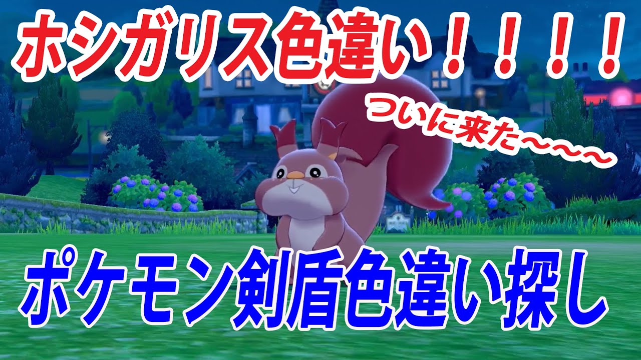 【ポケモン剣盾】　色違い　ホシガリス